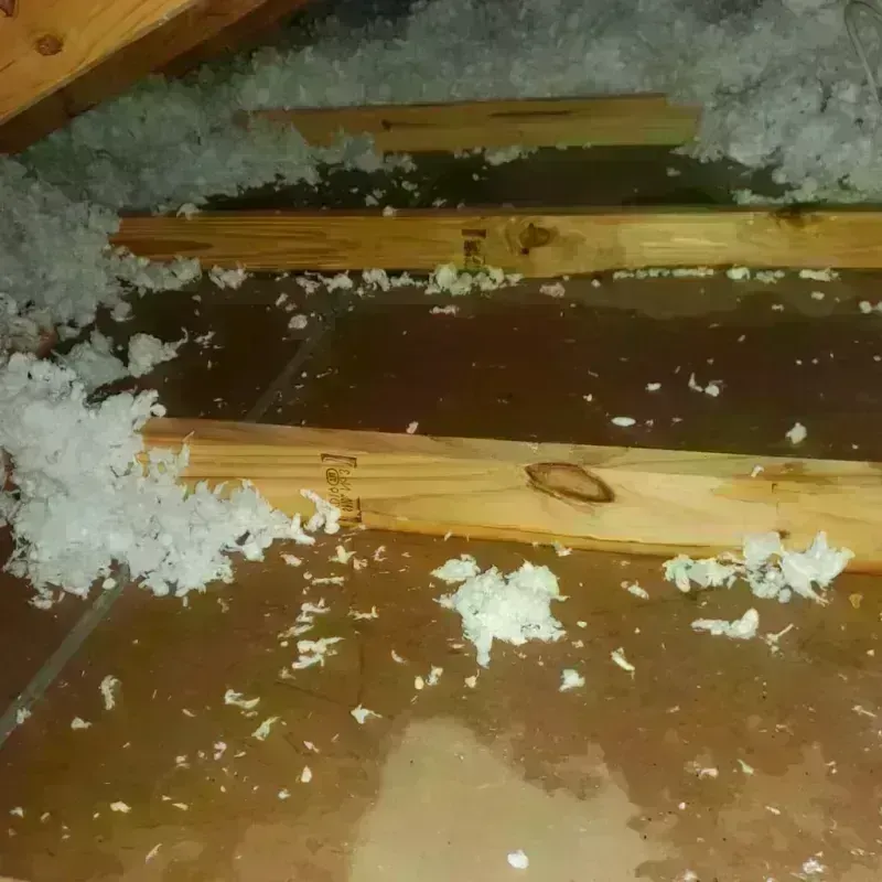 Attic Water Damage in Rhea County, TN